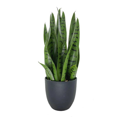 Sansevieria Artificiel en Pot - 40 cm