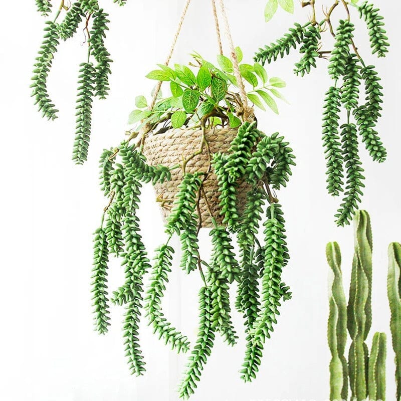 Succulente Retombante Artificielle - 70 cm