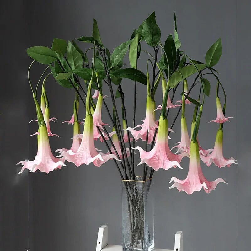 Trompettes des Anges Artificielles (Brugmansia)