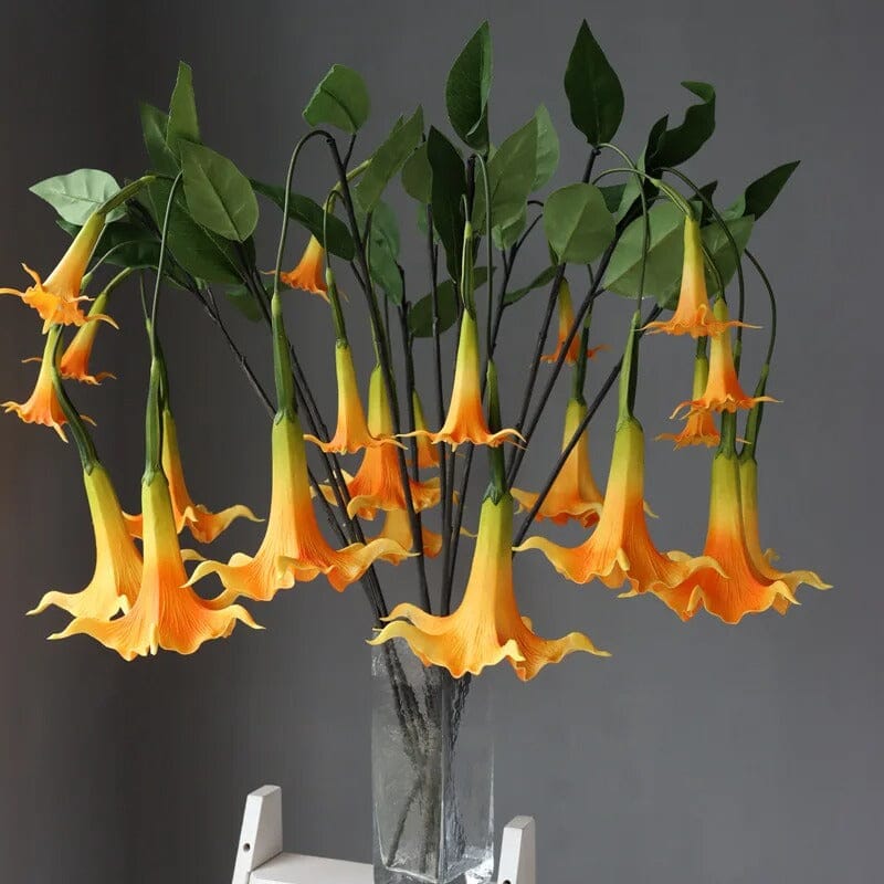 Trompettes des Anges Artificielles (Brugmansia)