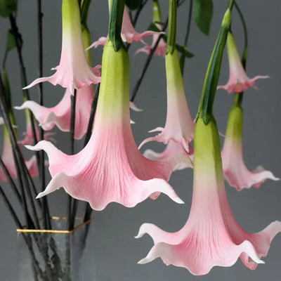 Trompettes des Anges Artificielles (Brugmansia)