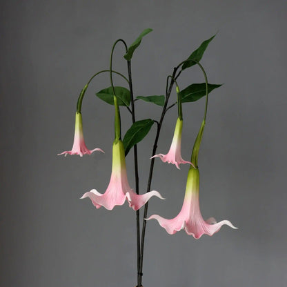 Trompettes des Anges Artificielles (Brugmansia)