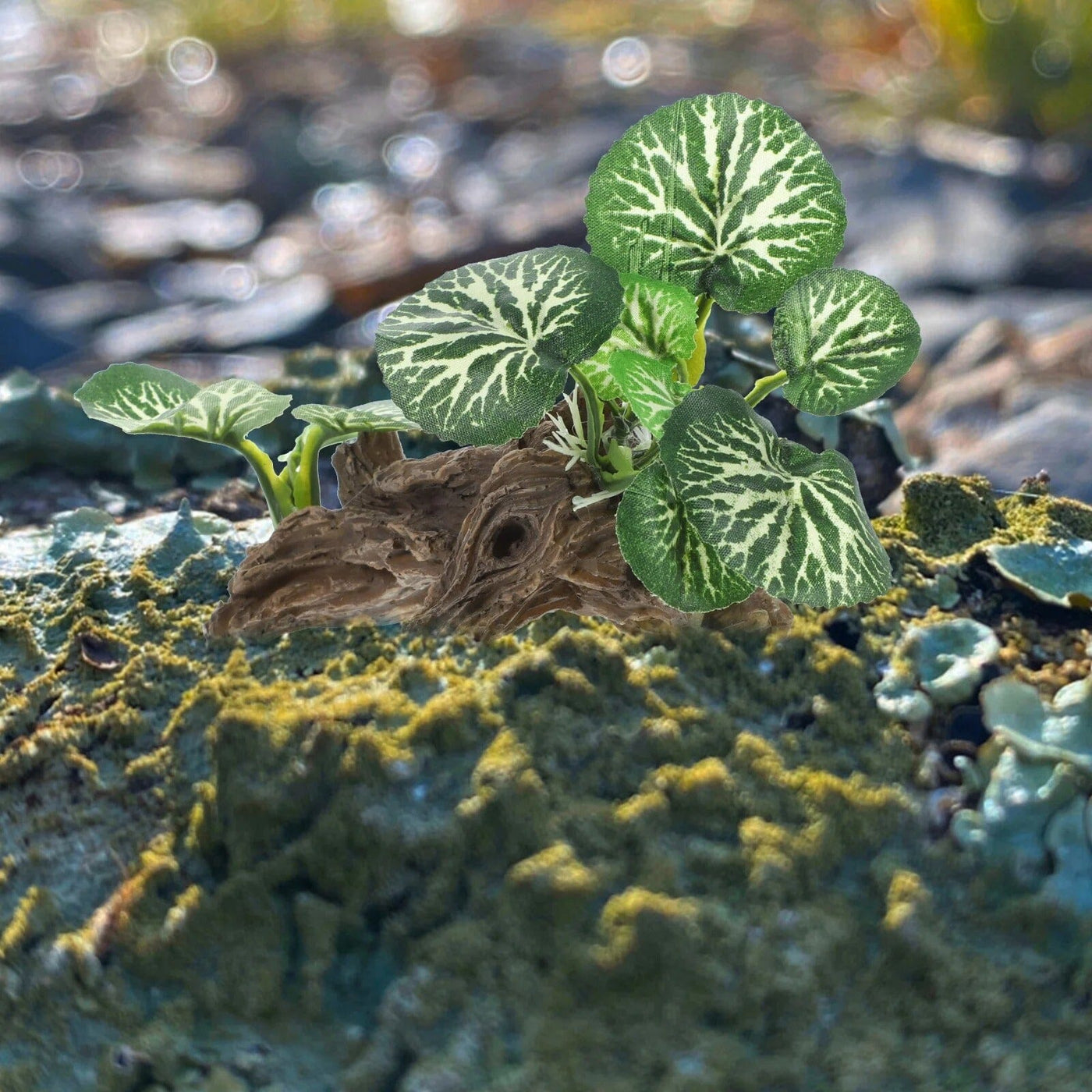 Tronc avec Plante Artificielle Aquarium