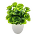 Petite plante artificielle en pot - Feuillage vert dense - 16 cm