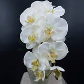 Orchidée Artificielle XXL Blanche 90 cm