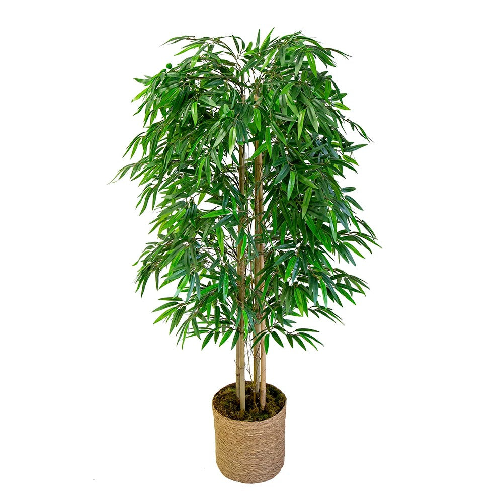 Bambou Artificiel en Pot (105 cm, 150 cm, 180 cm)