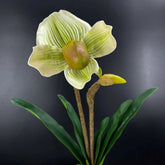 Orchidée Artificielle Paphiopedilum 48 cm, Verte