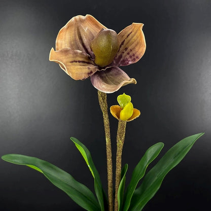 Orchidée Artificielle Paphiopedilum 48 cm, Marron